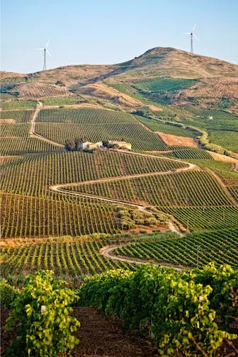 paisaje de Sicilia con campos de cultivos